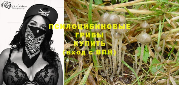 гидра Балабаново